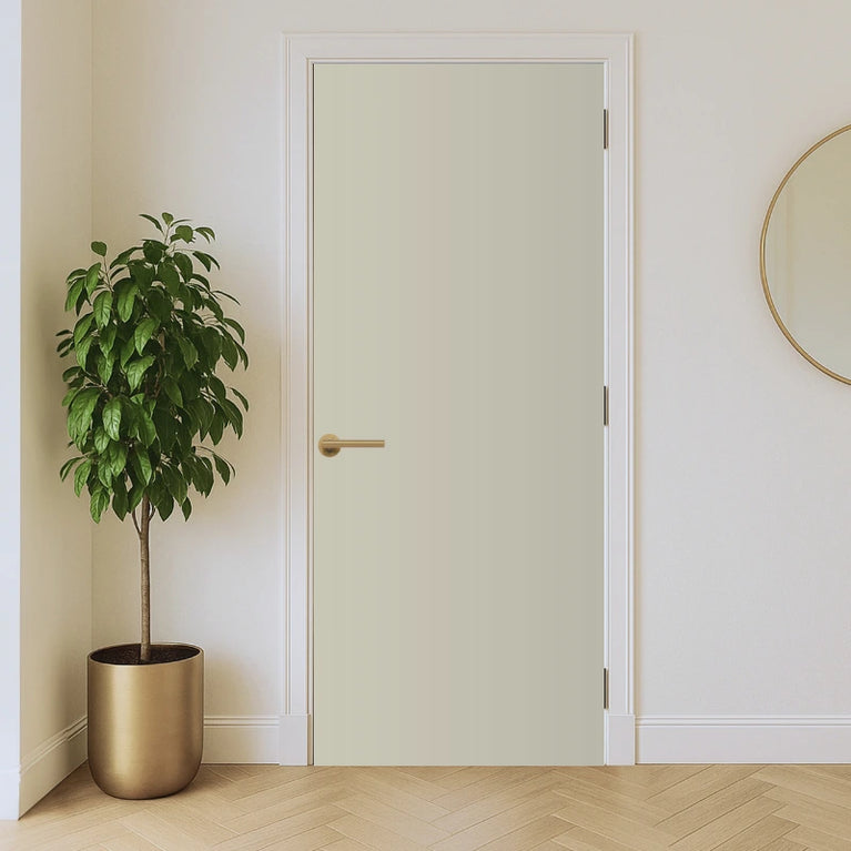 Feutre laminate door in bright room with plant and a mirrow