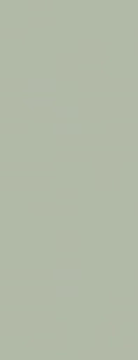 Laminate Door FD30 Formica Seed F5344