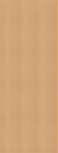 Vertical beech panel with a light brown color