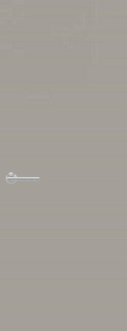 Laminate Door FD60 Formica Platinum F8178