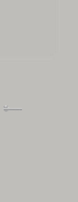 Laminate Door FD60 Formica Quicksilver F8180