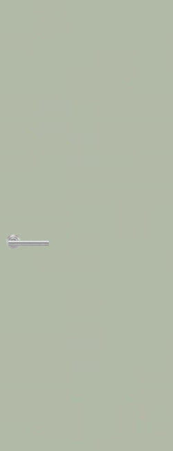 Laminate Door FD30 Formica Seed F5344