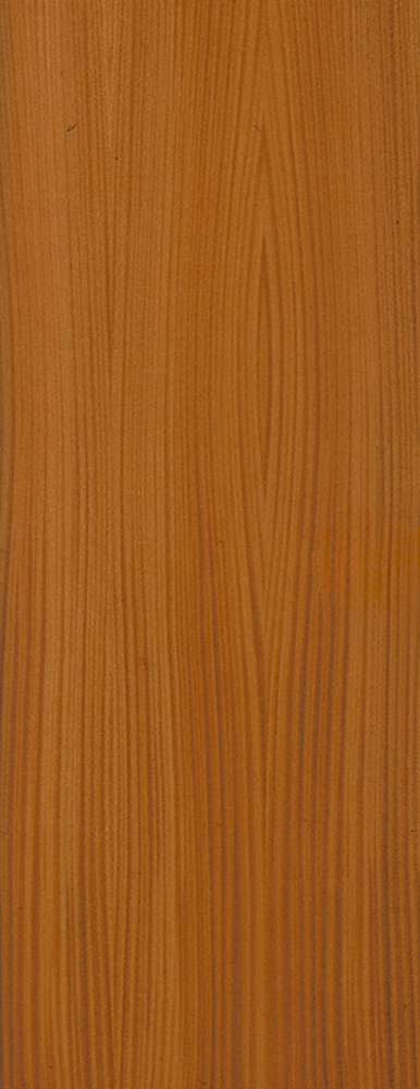Veneer Flush Door FD30 Sapele