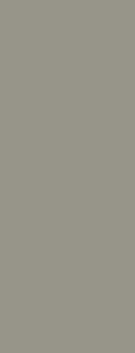 Formica Mouse F7928 Laminate Door