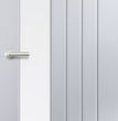5 Panel Vertical Grained Newark - 2 Panel Side Glazed Door - FD30
