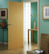 Veneer Flush Door FD60 Ash