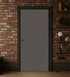 Erable Cendre laminate door in the modern loft interior
