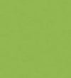 Laminate Door FD30 Formica Vibrant Green F6901