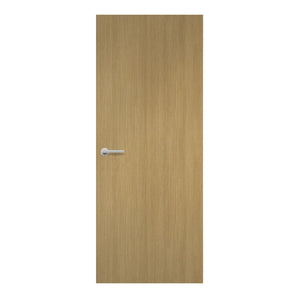 Aged Ash FD30 Laminate Door Formica F8844