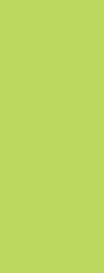 Laminate Door Polyrey Pomme Vert P092