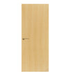 Veneer Flush Door Ash