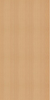 Vertical beech panel with a light brown color