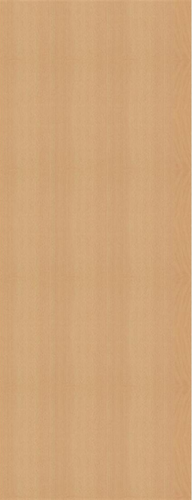 Vertical beech panel with a light brown color