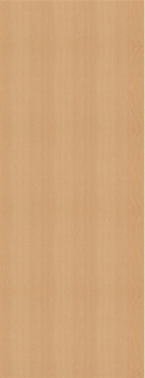 Vertical beech panel with a light brown color