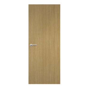 Aged Ash Formica laminate door inweathered ash finish, front view
