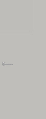 Laminate Door Formica Quicksilver F8180