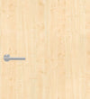 Laminate Door FD30 Formica Maple F755