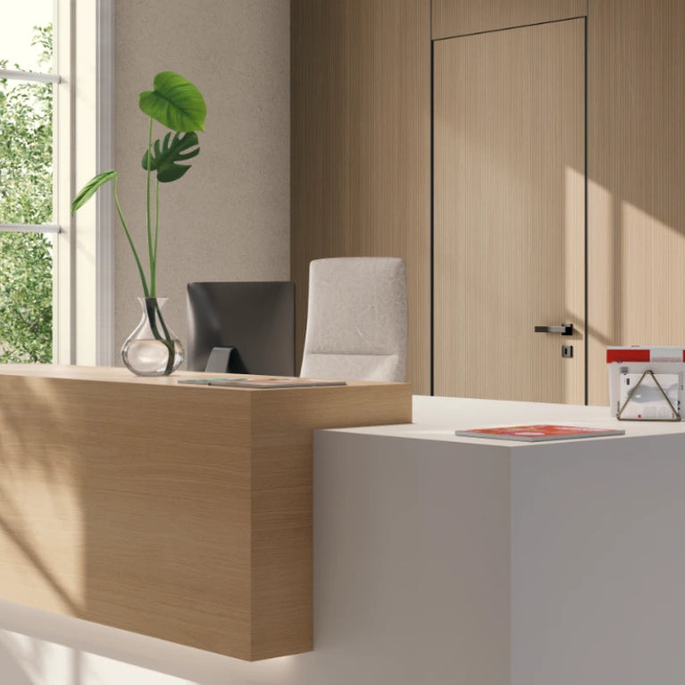 Modern office with desk, chair, computer monitor, and plant in a bright room with a laminate wooden door.