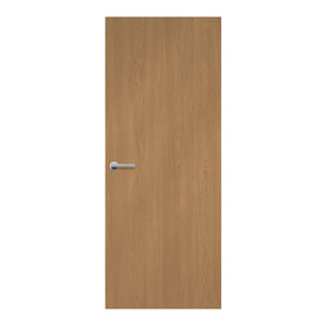 Wooden door with a handle on a white background