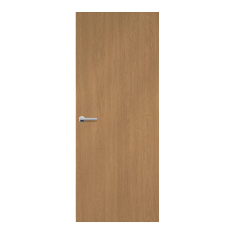 Wooden door with a handle on a white background