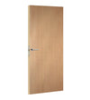 Wooden door with a silver handle on a white background
