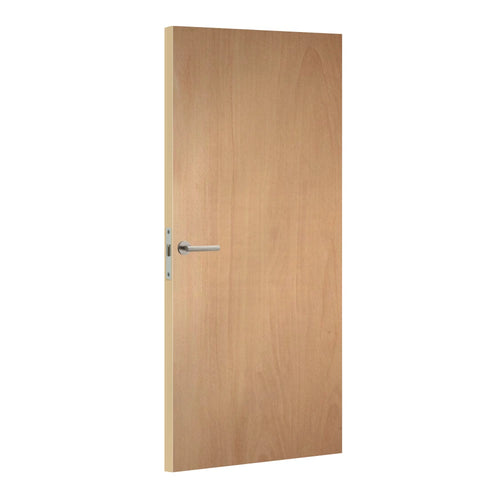 Wooden door with a silver handle on a white background