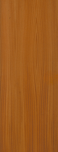 Veneer Flush Door FD30 Sapele