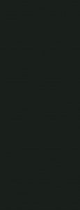 Formica Black F2253 Laminate Door