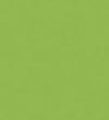 Formica Vibrant Green F6901 Laminate Door