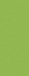 Formica Vibrant Green F6901 Laminate Door