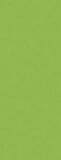 Formica Vibrant Green F6901 Laminate Door